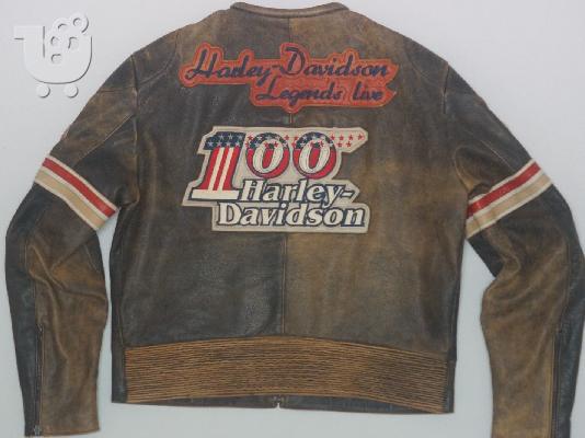 PoulaTo: Harley davidson